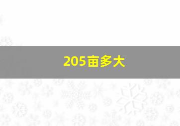 205亩多大