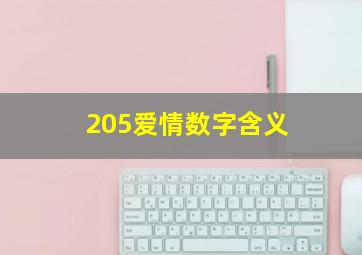 205爱情数字含义