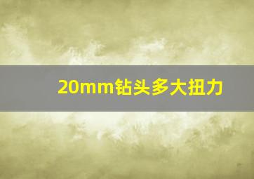 20mm钻头多大扭力