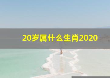 20岁属什么生肖2020