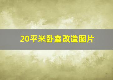 20平米卧室改造图片