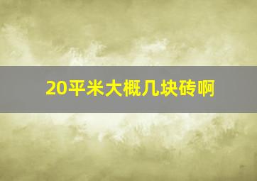 20平米大概几块砖啊