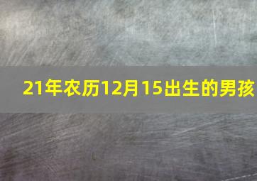 21年农历12月15出生的男孩