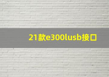 21款e300lusb接口