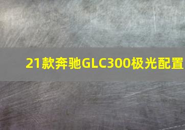 21款奔驰GLC300极光配置