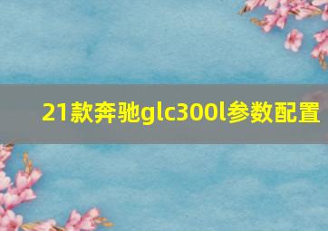 21款奔驰glc300l参数配置