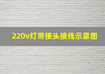 220v灯带接头接线示意图