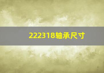 222318轴承尺寸