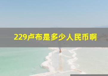 229卢布是多少人民币啊