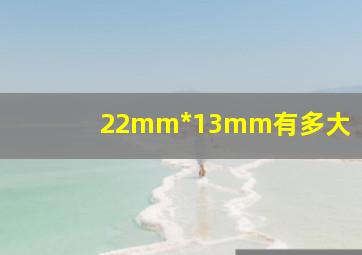 22mm*13mm有多大