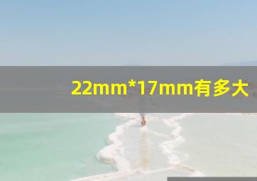 22mm*17mm有多大