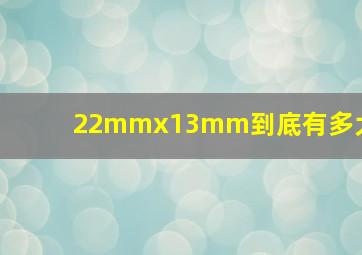 22mmx13mm到底有多大