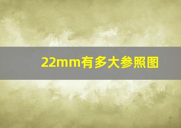 22mm有多大参照图