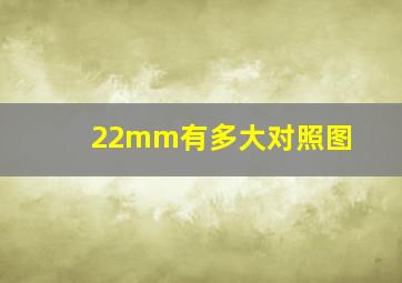 22mm有多大对照图