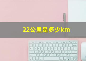 22公里是多少km