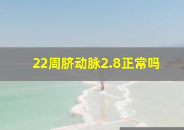 22周脐动脉2.8正常吗