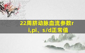 22周脐动脉血流参数ri,pi、s/d正常值