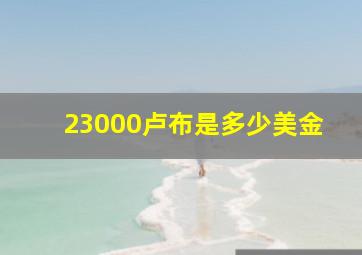 23000卢布是多少美金