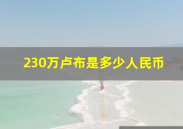 230万卢布是多少人民币