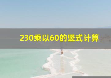 230乘以60的竖式计算