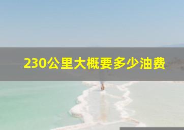 230公里大概要多少油费