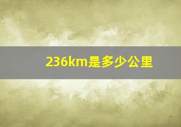 236km是多少公里