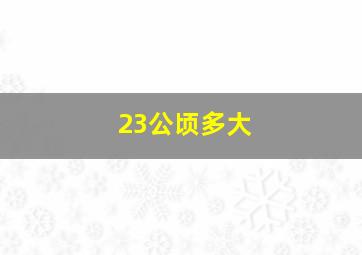 23公顷多大