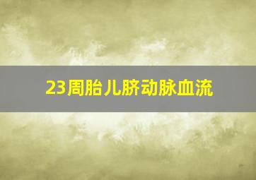 23周胎儿脐动脉血流