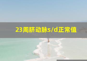 23周脐动脉s/d正常值