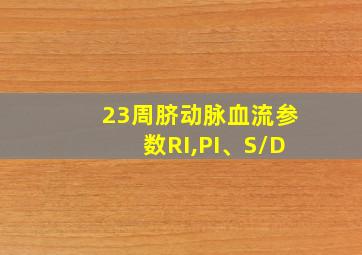 23周脐动脉血流参数RI,PI、S/D