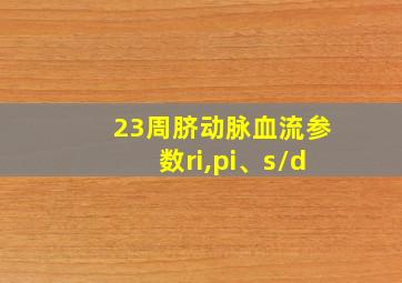 23周脐动脉血流参数ri,pi、s/d