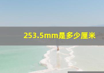 253.5mm是多少厘米