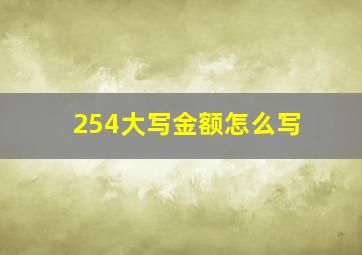 254大写金额怎么写