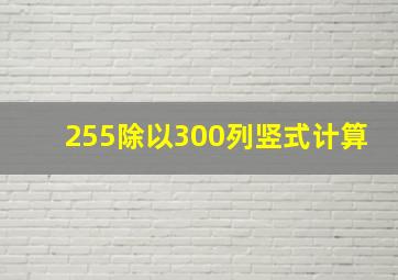 255除以300列竖式计算