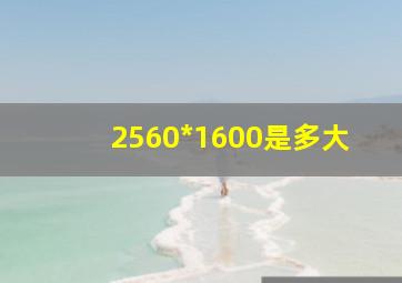 2560*1600是多大