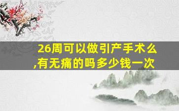 26周可以做引产手术么,有无痛的吗多少钱一次