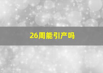 26周能引产吗