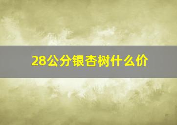 28公分银杏树什么价