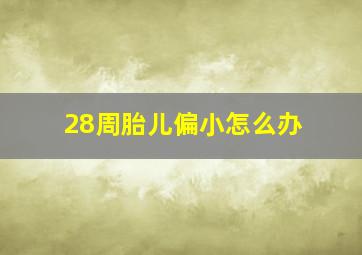 28周胎儿偏小怎么办