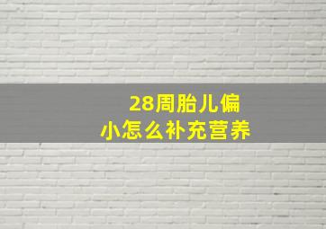 28周胎儿偏小怎么补充营养