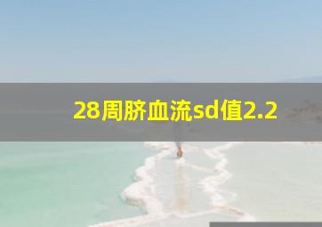 28周脐血流sd值2.2