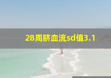 28周脐血流sd值3.1