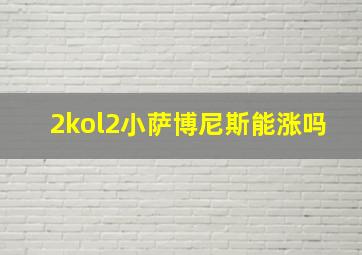 2kol2小萨博尼斯能涨吗