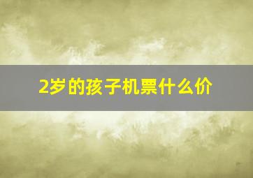 2岁的孩子机票什么价