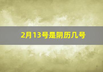 2月13号是阴历几号