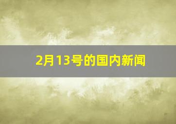 2月13号的国内新闻