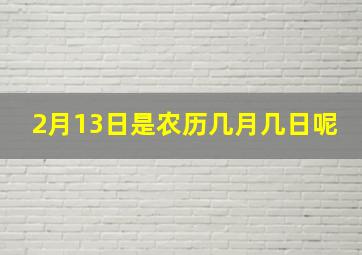 2月13日是农历几月几日呢