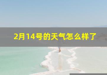 2月14号的天气怎么样了