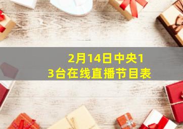 2月14日中央13台在线直播节目表