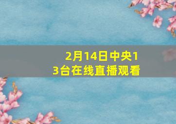 2月14日中央13台在线直播观看